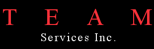 Team Banking Services