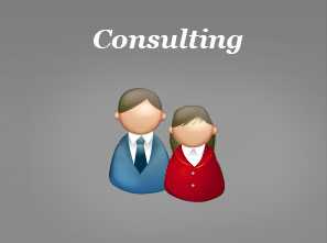 Team Services Consulting Services