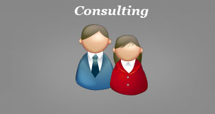 Consulting Services