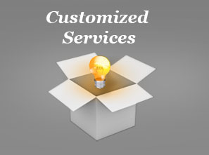 Team Services Custom Services