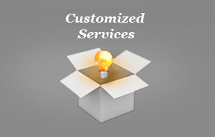 Custom Services