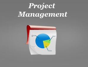 Team Services Project Managament