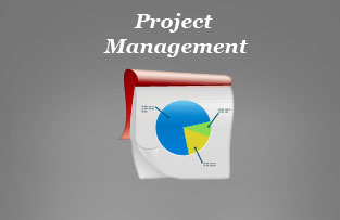 Project Management
