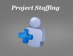 Team Services Project Staffing