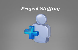 Project Staffing